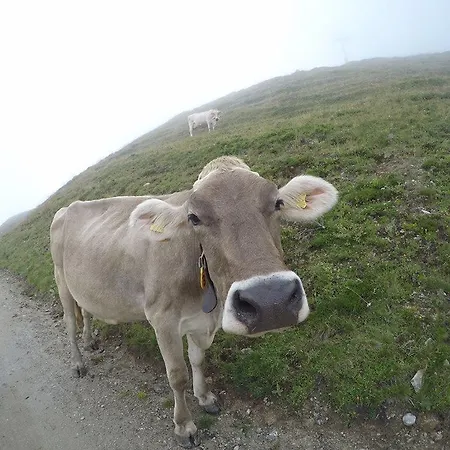 Jungfrau Hotel 2*