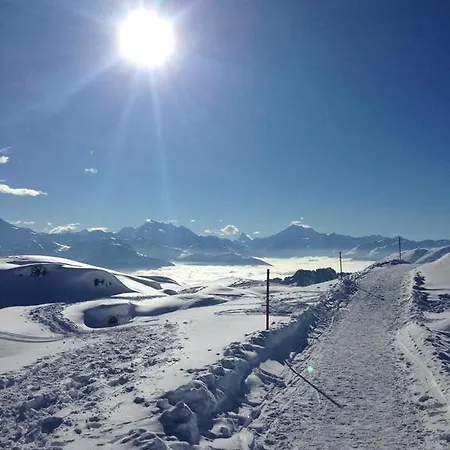 Jungfrau Fiesch
