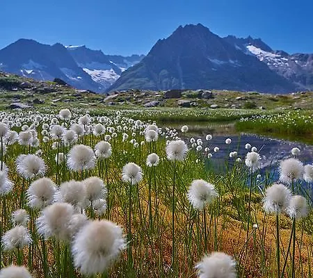Hotel Jungfrau